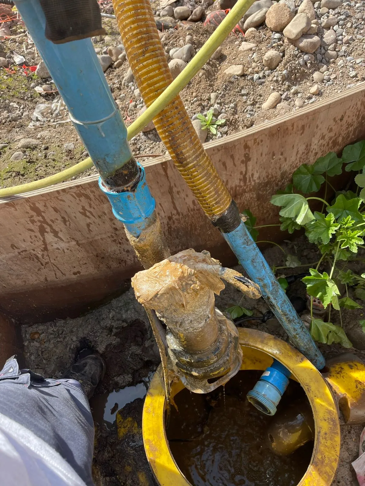 Mangueras de succión del camión limpia fosas conectadas a una fosa séptica en terreno