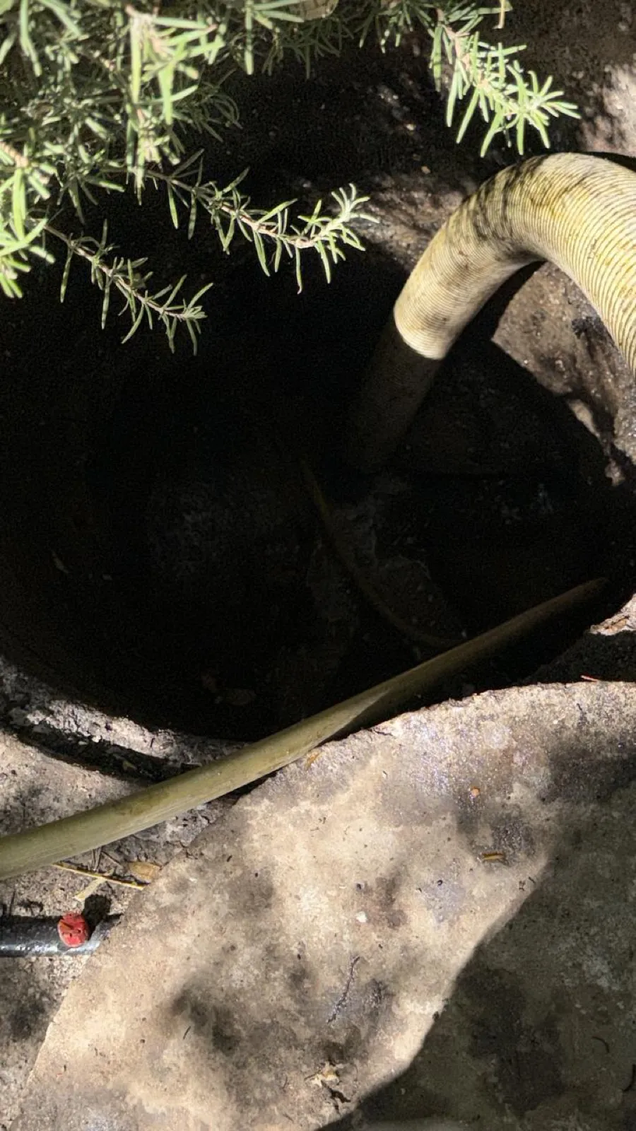 Manguera del camión limpia fosas succionando una fosa séptica real